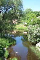 Kulpa i Hølen, juni 2006.