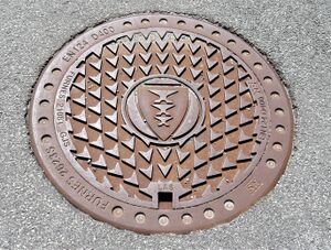 Hol kommune kumlokk.JPG