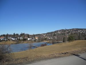 Holmendammen vårdag.jpg