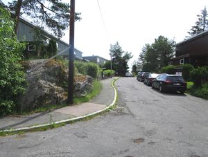 Hoppveien Oslo 2015.jpg