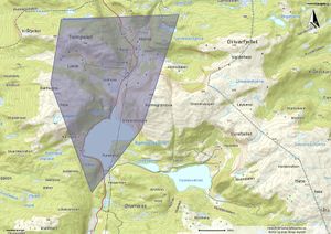 Horne krins 1884-1911.jpg