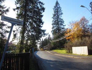 Hospitsveien Oslo 2013.jpg