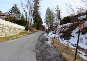 Hovedgårdsveien Nesøya Asker 2016.jpg