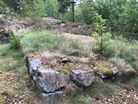 Hovedskansen. Foto 2023 Steinar Bunæs.