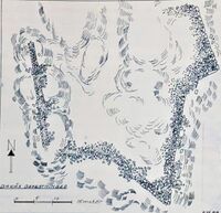 Hovedskansen på Bakås, oppmålt av Bu, Lillejord og Magnussen i 1999.