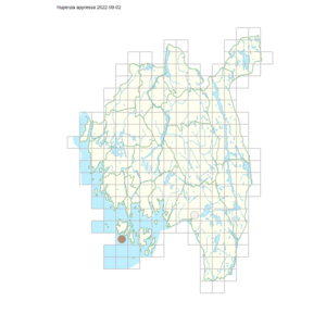 Huperzia appressa.png