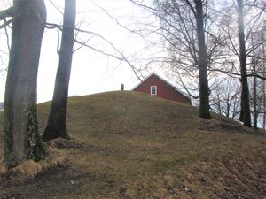 Husebyhaugene (Lier) søndre haug.jpg