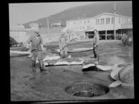 122. Hvalstasjon, Tromsøsund - no-nb digifoto 20150120 00086 NB MIT FNR 20071.jpg