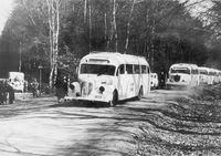 49. Hvite busser 1945.jpg