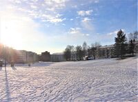 Vintermotiv fra Iladalen i Oslo. Foto: Stig Rune Pedersen (2014).