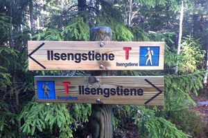 Ilsengstiene 01.jpg