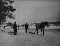 8. Isdrift Gumø 1911.png