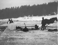 48. Isdrift på Nesøytjernet.jpg