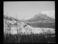 104. Isfjorden - no-nb digifoto 20150205 00117 NB MIT FNR 15757.jpg