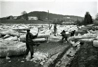 Isgang ved Midjo. Ogna har gått over sine bredder og lagt igjen is og tømmer nedenfor Midjo bru. Midjo gård og Geilvoll gård i bakgrunnen. Foto fra Foreningen Gamle Steinkjer.