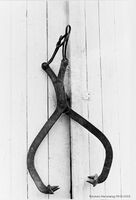 155. Issaks (RHB-0053).jpeg