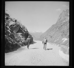 Isterdalen fra Trollstigveien - no-nb digifoto 20150210 00023 NB MIT FNR 18850.jpg