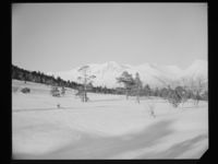 109. Istindene fra Vengjedalen - no-nb digifoto 20150205 00128 NB MIT FNR 15771.jpg