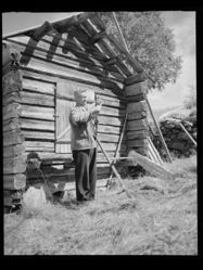 Sliping av ljå. Foto: Mittet/Nasjonalbiblioteket