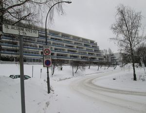 Jacobine Ryes vei Oslo 2013 2.jpg