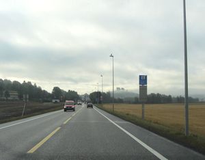 Jarlsberglinna Tønsberg 2013.jpg