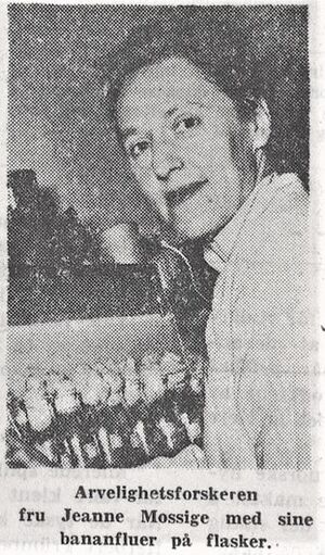 Jeanne Coyne Mossige faksimile Morgenbladet 1956.jpg