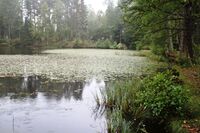 17. Jegersborgdammen demningen vest.JPG