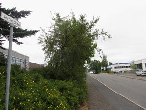 Jernkroken Oslo 2013.jpg