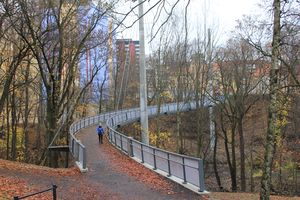 Jerusalem bro 2011.JPG