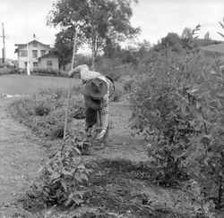 Stasjonens ansatte satte sin ære i å holde hageanlegget i orden. Jernbanemuseet
