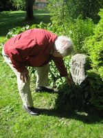 Johan-Andreas Holmsen ved steinen for Karl XIIs uønskede besøk på Nordre Stalsberg i 1716.