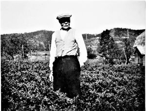 Johan Andersen i Nordvik.jpg