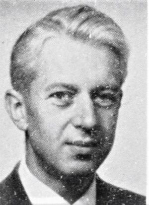 Johan Bernitz Hygen.jpg