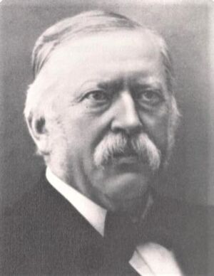 Johan Blackstad foto.jpg