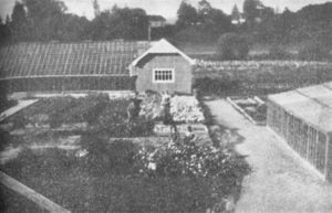 Johan Bolstads Handelsgartneri (Buskerud fylkesleksikon, s1023).jpg