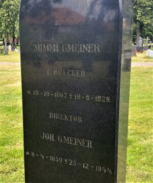 Johan Gmeiner gravminne.jpg