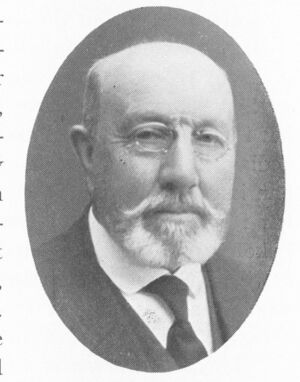 Johan Hansen Guldal.jpg