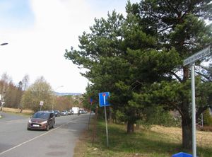 Johan Scharffenbergs vei Oslo 2014.jpg