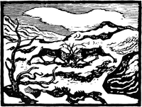 «Kjempande reinbukkar»