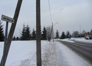 Jorines vei Oslo 2014.jpg