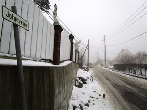 Jotunveien Oslo 2015.jpg