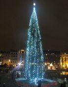 Det norske juletreet på Trafalgar Square i 2015. Foto: Stig Rune Pedersen