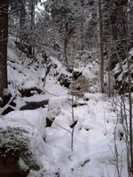 Damstedet på Fossum. Fossen kom ned dette juvet. Foto Kristian Koller.