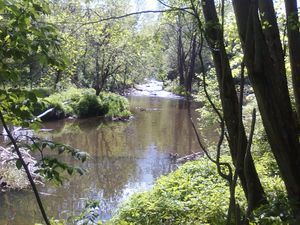 Kølabånn Sagelva.jpg