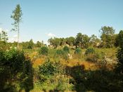 Kaldglovane mot Stiger på Østerøya. Foto: Pål Giørtz (2017).