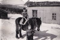 138. Kallrustad hest.jpg