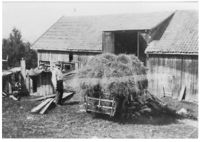 39. Kallrustad hoykjoring.jpg