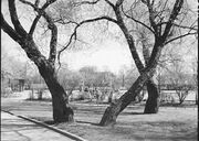 Kampen park - no-nb digifoto 20150625 00197 NB MIT FNR 11282.jpg