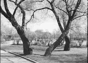 Kampen park - no-nb digifoto 20150625 00197 NB MIT FNR 11282.jpg