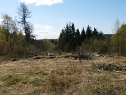 Ruiner av bygning på Kamphaug. Foto: Chris Nyborg (2014).